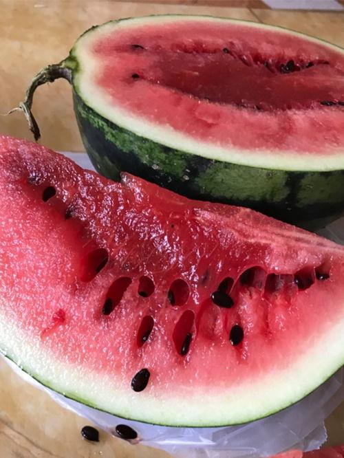 西昌的瓜最新爆料,揭秘最新瓜种传奇