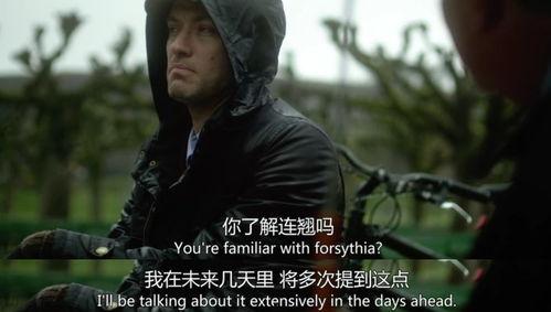 韩美最新爆料电影大全免费观看,免费观影盛宴，尽享视听盛宴