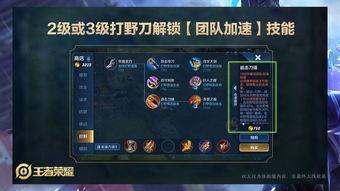 王者师叔爆料视频下载,深度解析游戏内幕与精彩瞬间